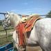 Profile Picture of Dany Partida (El diablillo) (@dany.partida.98) on Facebook