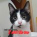 Profile Picture of Debi Moore (@debi.moore.963) on Facebook