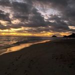 Profile Picture of Scott Rudd (@scott.rudd.7) on Instagram