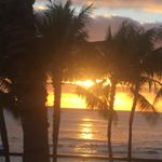 Profile Picture of Tammy Fernandes (@tammysfernandes) on Instagram