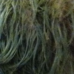 Ron Snell - Myspace Profile Picture of Ron Snell (@ron.snell.773) on Myspace