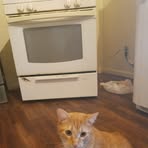 Profile Picture of Jessica Wire (@jessica.wire.50) on Facebook