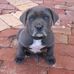 Profile Picture of George Savic (@george.savic.7) on Facebook