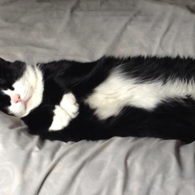 Profile Picture of John Kishbaugh (@kishbaugh55) on Twitter