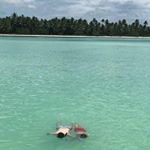 Profile Picture of kenneth mcallister (@kenneth_mcallister) on Instagram