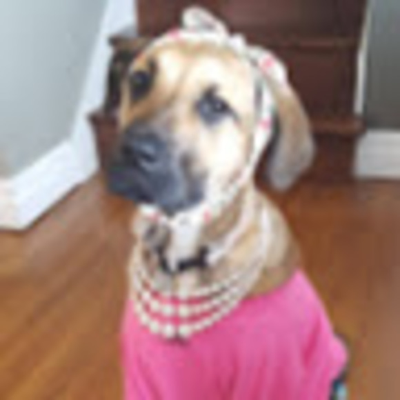 Profile Picture of Timothy Writt (@writhann831) on Poshmark