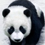 Profile Picture of Greg Wagner (@trouts_boy) on Instagram