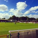 Profile Picture of Andrew Pigott (@andrewpigott) on Instagram
