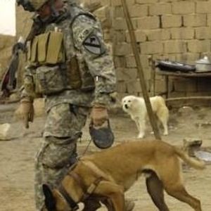 Profile Picture of Tony Estrada (@239770431) on Myspace