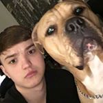 Profile Picture of mark.clemenson (@mark.clemenson) on Instagram