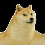 Profile Picture of cheems (@memes_cheems) on Instagram