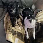 Profile Picture of Andrew Chase (@Andrew-Chase) on Facebook