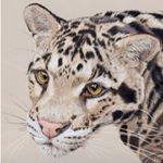 Profile Picture of Sam Whiting-Jones (@artisamjones) on Instagram