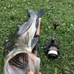 Profile Picture of Troy Reeves (@reeves8342) on Instagram