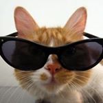 Profile Picture of Andre Whitehead (@whitehead.andre) on Instagram