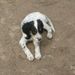 Profile Picture of Kathy Jordan (@mom2sadie) on Pinterest