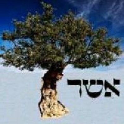 Profile Picture of Jiří Bob Asher (@abobbele) on Twitter