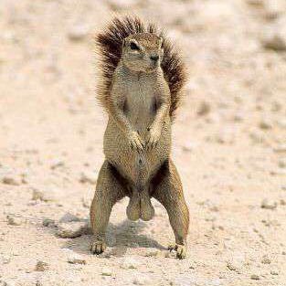 Profile Picture of Nathan Cheung (@nathancheung22) on Twitter