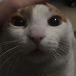 Profile Picture of jshsgsvwjwisnsnddb (@nancyhaywardd) on Instagram