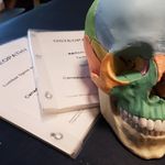 Profile Picture of Suzanne Schmidt (@theartofpalpation) on Instagram