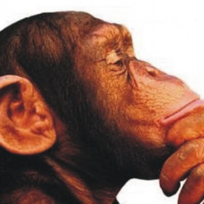 Profile Picture of Antonio Abel (@antonioabel2) on Twitter