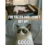 Profile Picture of Oneal Davis (@12345oneal) on Instagram