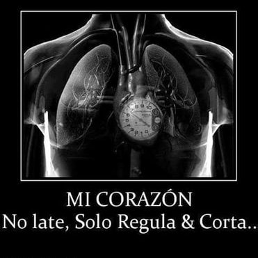 Profile Picture of Andy Ibañez (@andyigabriel) on Twitter