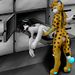 Profile Picture of Joseph Badillo (@necrowoofs) on Pinterest