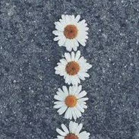 Profile Picture of Katelyn Ross (@katelyn-ross-3) on Quora