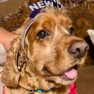 Profile Picture of Jodi Colvin (@jodicolvin) on Instagram