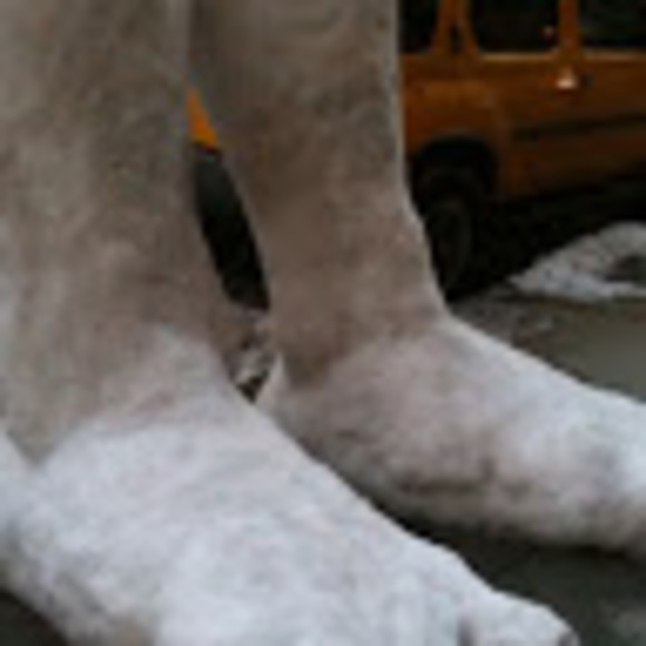 Profile Picture of Michael Summerfield (@smrfld) on Poshmark