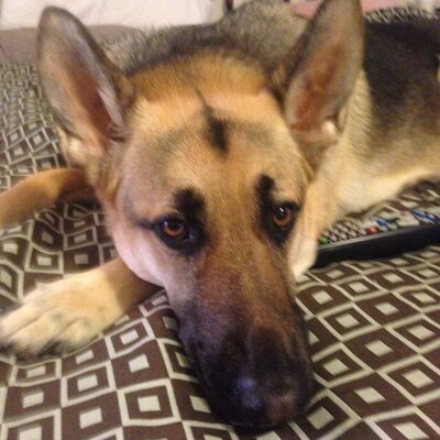 Profile Picture of Candy Conway (@AllhappyFour) on Twitter
