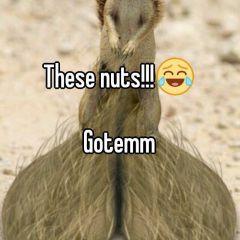 Profile Picture of Jerone Harris (@jeroneh13) on Twitter