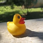 Profile Picture of Chad Is A Rubber Duck (@_bring_back_chad_) on Instagram