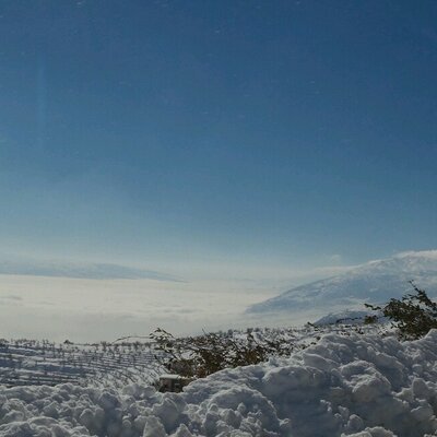 Profile Picture of Maya Ac Saker (@maya_saker) on Twitter