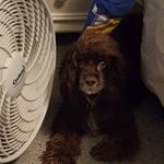 Profile Picture of Michael Schrenk (@michael_schrenk) on Instagram