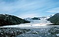 Profile Picture of Guyot Glacieron Wikipedia