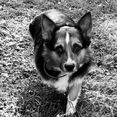 Profile Picture of Garth Clark (@GXavier6523) on Twitter