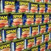 Profile Picture of Spam Fritterz (@@only_random_stuff_) on Tiktok