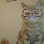 Profile Picture of Daniel de Vries (@daniel.devries.39) on Instagram