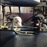 Profile Picture of Matthew Hingsbergen (@chubbs64) on Instagram