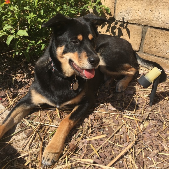 Bennie Wegeng - Poshmark Profile Picture of Bennie Wegeng (@benniew04) on Poshmark