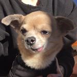 Profile Picture of Ruby Webster (@rubezz_) on Instagram