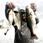Profile Picture of David Pasciak (@angler.dangler_) on Instagram