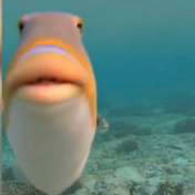 Profile Picture of Joseph Flaherty (@Buddy-de7km) on Youtube