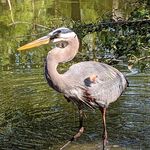 Profile Picture of Matthew Weitzel (Photo by MW) (@photobymw_pictures) on Instagram
