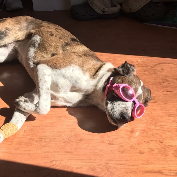 Profile Picture of Melissa Zager (@melzager) on Poshmark