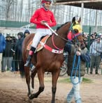 Profile Picture of Domingo Jaramillo (@domingo.jaramillo.10) on Facebook