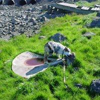 Profile Picture of Linda Lemco (@linda-lemco) on Quora