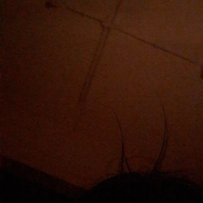 Profile Picture of Sean (@sean5991) on Twitter